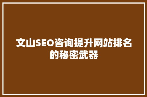 文山SEO咨询提升网站排名的秘密武器