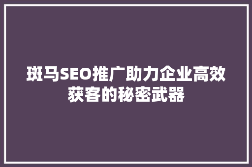 斑马SEO推广助力企业高效获客的秘密武器