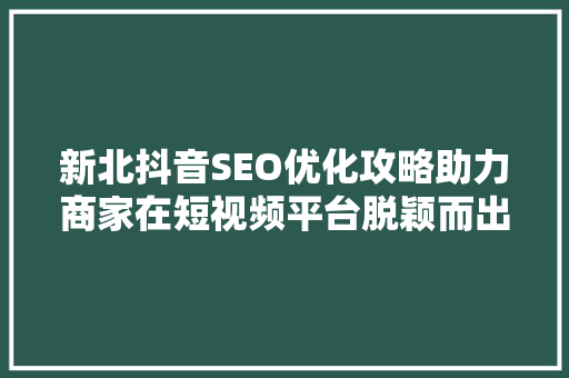 新北抖音SEO优化攻略助力商家在短视频平台脱颖而出