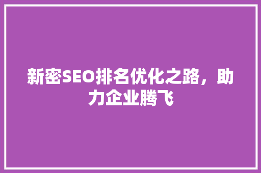 新密SEO排名优化之路，助力企业腾飞