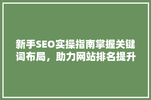 新手SEO实操指南掌握关键词布局，助力网站排名提升