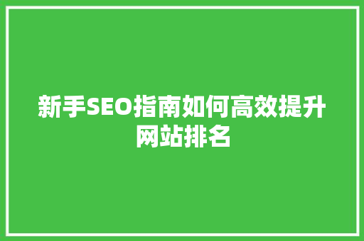 新手SEO指南如何高效提升网站排名
