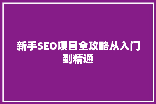 新手SEO项目全攻略从入门到精通