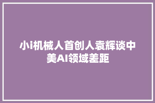 小i机械人首创人袁辉谈中美AI领域差距