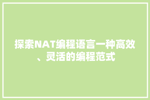探索NAT编程语言一种高效、灵活的编程范式
