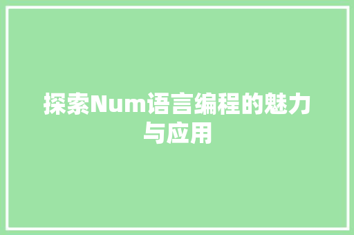 探索Num语言编程的魅力与应用