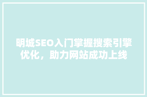 明城SEO入门掌握搜索引擎优化，助力网站成功上线