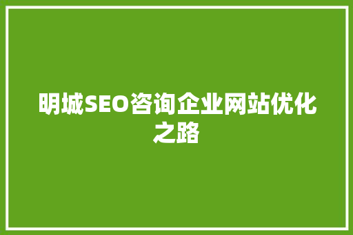 明城SEO咨询企业网站优化之路