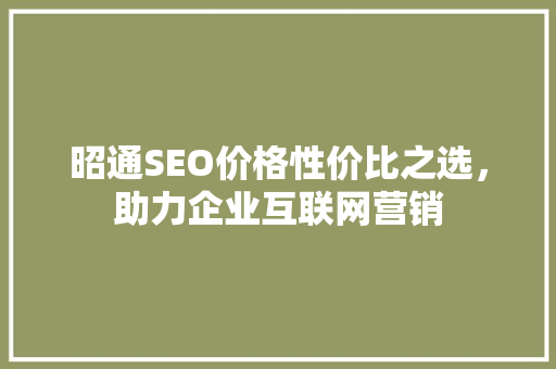 昭通SEO价格性价比之选，助力企业互联网营销
