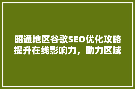 昭通地区谷歌SEO优化攻略提升在线影响力，助力区域经济发展