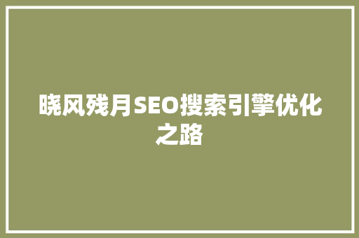 晓风残月SEO搜索引擎优化之路