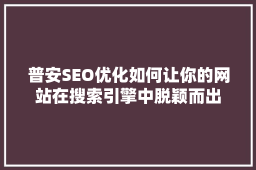 普安SEO优化如何让你的网站在搜索引擎中脱颖而出