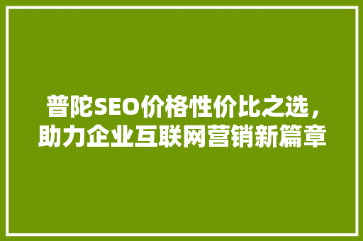 普陀SEO价格性价比之选，助力企业互联网营销新篇章