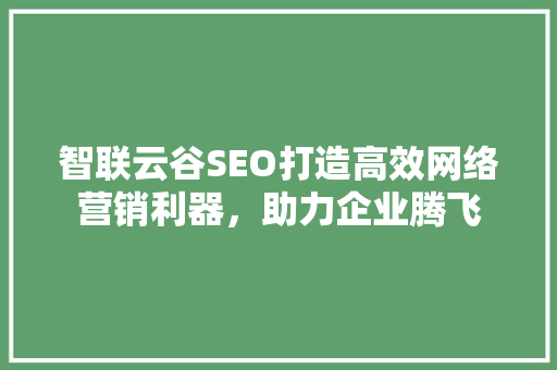 智联云谷SEO打造高效网络营销利器，助力企业腾飞