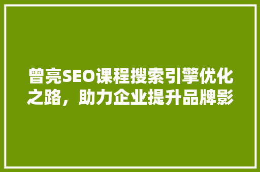 曾亮SEO课程搜索引擎优化之路，助力企业提升品牌影响力