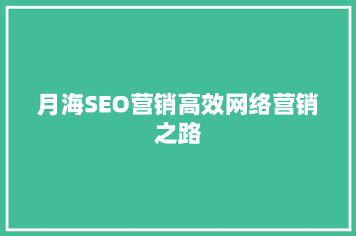 月海SEO营销高效网络营销之路