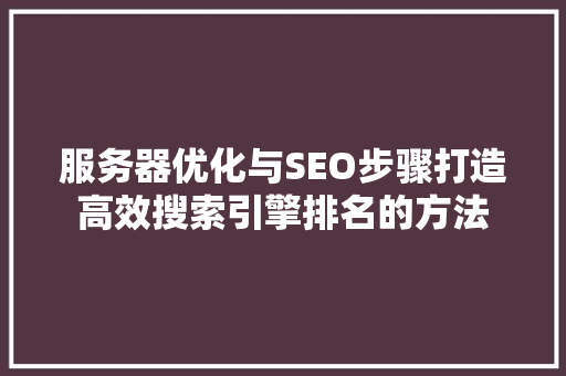 服务器优化与SEO步骤打造高效搜索引擎排名的方法