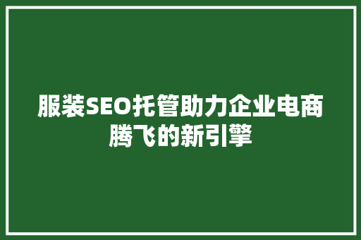 服装SEO托管助力企业电商腾飞的新引擎