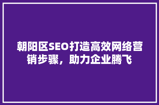 朝阳区SEO打造高效网络营销步骤，助力企业腾飞
