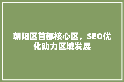 朝阳区首都核心区，SEO优化助力区域发展