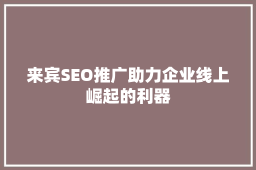 来宾SEO推广助力企业线上崛起的利器
