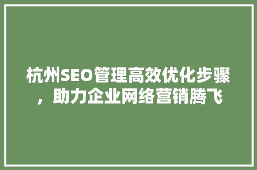 杭州SEO管理高效优化步骤，助力企业网络营销腾飞