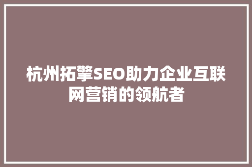 杭州拓擎SEO助力企业互联网营销的领航者