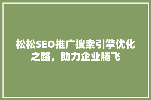 松松SEO推广搜索引擎优化之路，助力企业腾飞