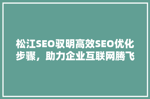 松江SEO驭明高效SEO优化步骤，助力企业互联网腾飞