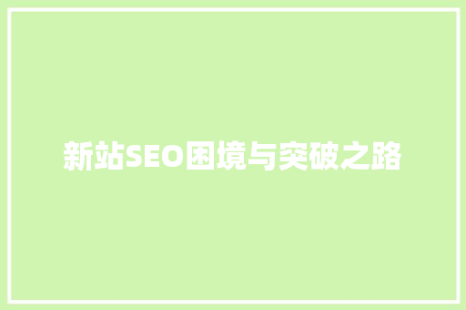 新站SEO困境与突破之路