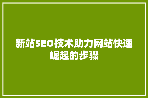 新站SEO技术助力网站快速崛起的步骤