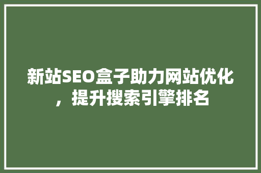新站SEO盒子助力网站优化，提升搜索引擎排名