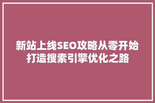 新站上线SEO攻略从零开始打造搜索引擎优化之路