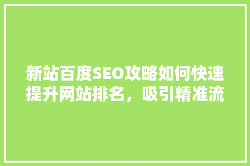 新站百度SEO攻略如何快速提升网站排名，吸引精准流量