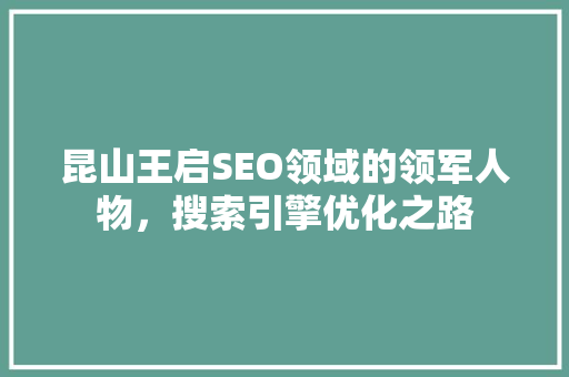 昆山王启SEO领域的领军人物，搜索引擎优化之路