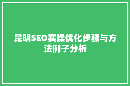 昆明SEO实操优化步骤与方法例子分析