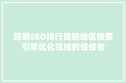 昆明SEO排行昆明地区搜索引擎优化领域的佼佼者