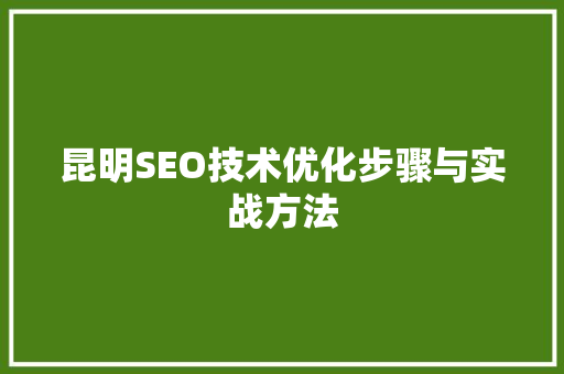 昆明SEO技术优化步骤与实战方法