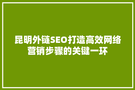 昆明外链SEO打造高效网络营销步骤的关键一环
