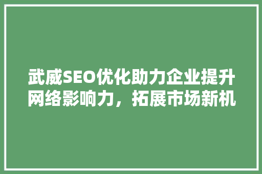 武威SEO优化助力企业提升网络影响力，拓展市场新机遇