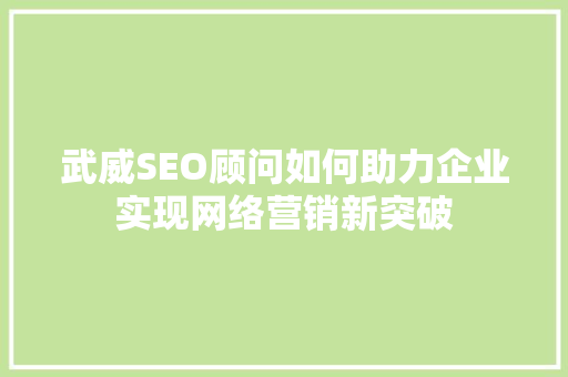 武威SEO顾问如何助力企业实现网络营销新突破