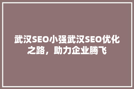 武汉SEO小强武汉SEO优化之路，助力企业腾飞