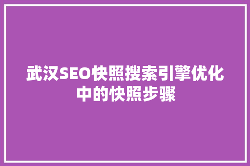 武汉SEO快照搜索引擎优化中的快照步骤