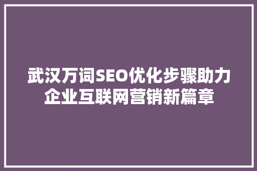 武汉万词SEO优化步骤助力企业互联网营销新篇章