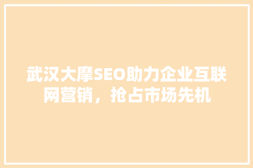 武汉大摩SEO助力企业互联网营销，抢占市场先机