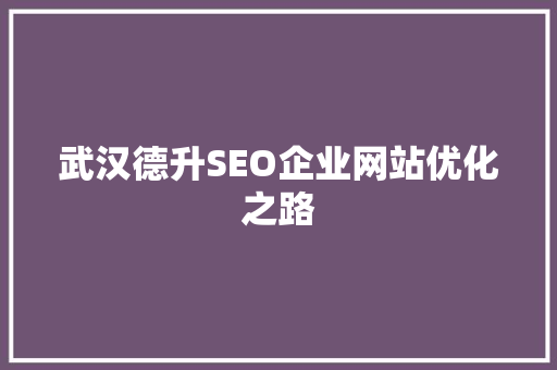 武汉德升SEO企业网站优化之路