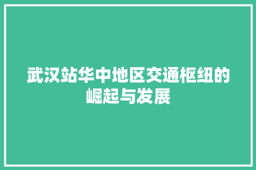 武汉站华中地区交通枢纽的崛起与发展