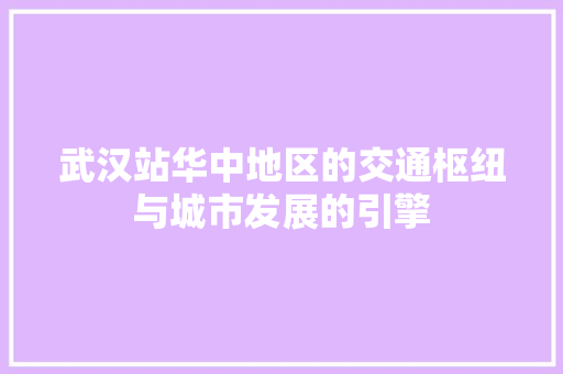 武汉站华中地区的交通枢纽与城市发展的引擎