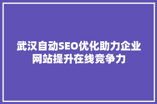 武汉自动SEO优化助力企业网站提升在线竞争力