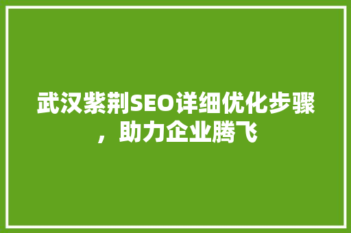 武汉紫荆SEO详细优化步骤，助力企业腾飞